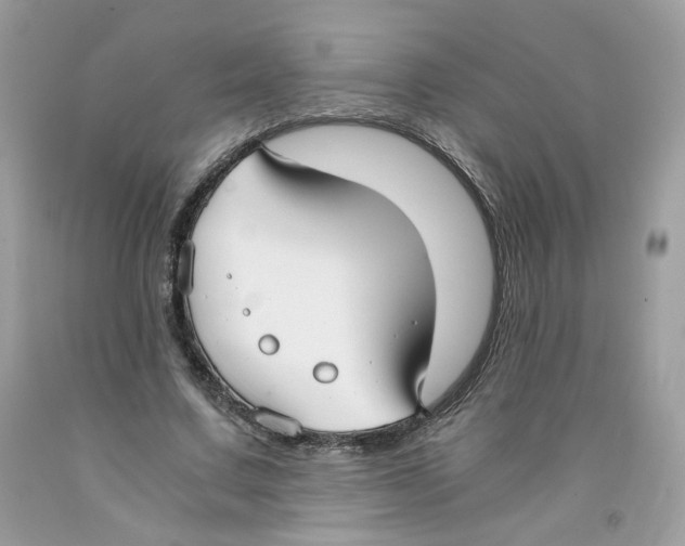 X0000091060683200709041159