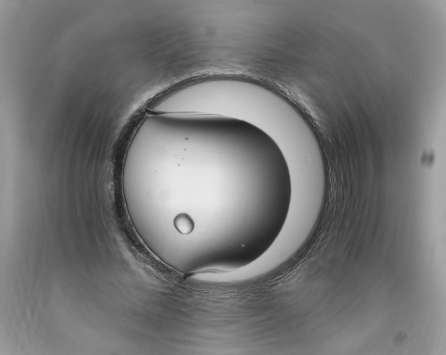 X0000091060684200709041159