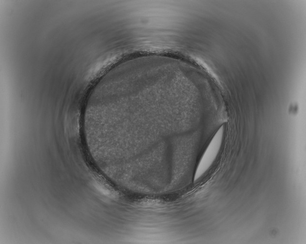 X0000091060685200709041159