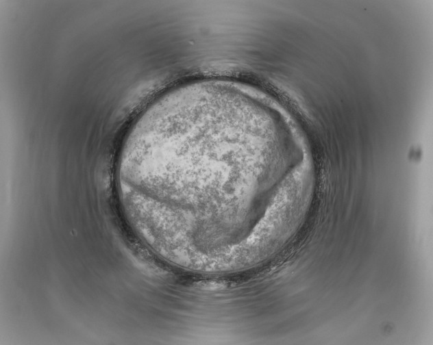 X0000091060687200709041159