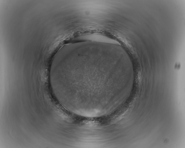 X0000091060689200709041159