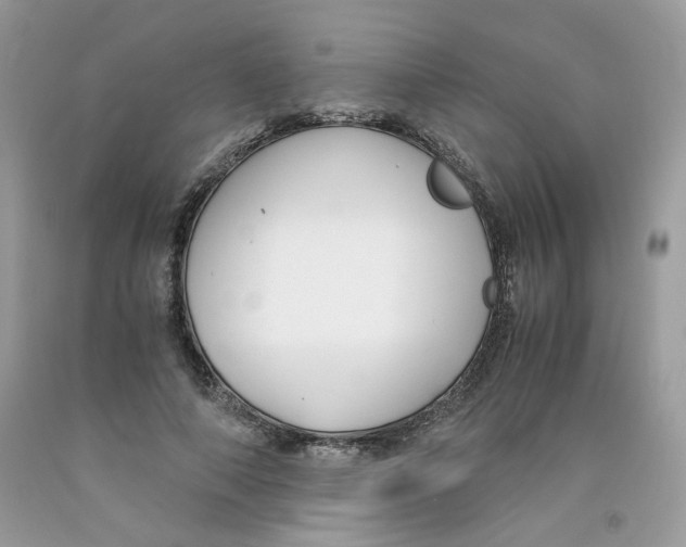 X0000091060690200709041159