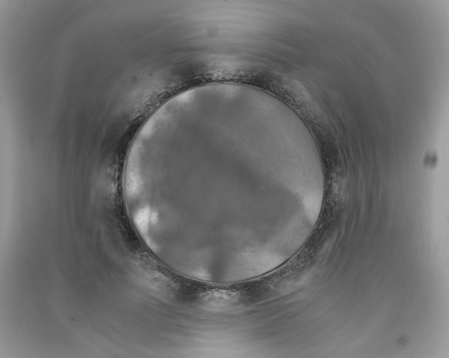 X0000091060691200709041159