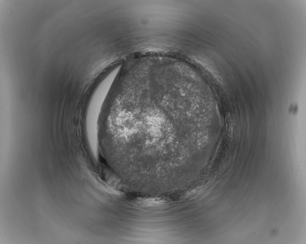 X0000091060692200709041159