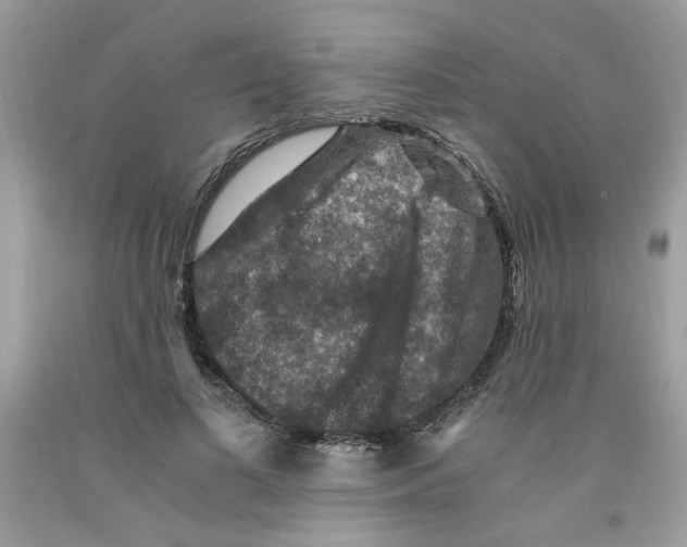 X0000091060693200709041159