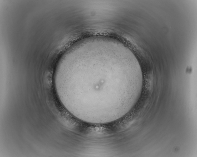 X0000091060695200709041159