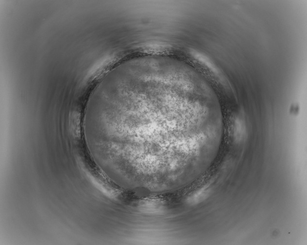 X0000091060696200709041159