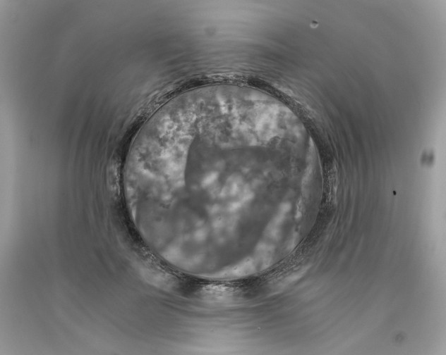 X0000091060699200709041159