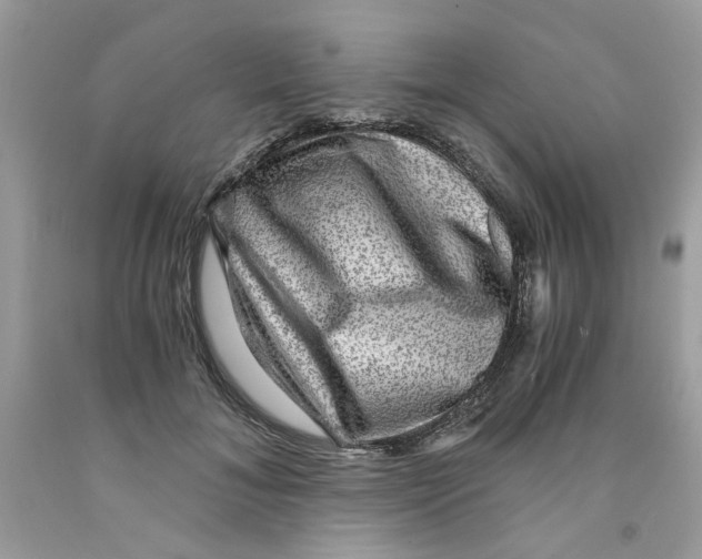 X0000091060700200709041159