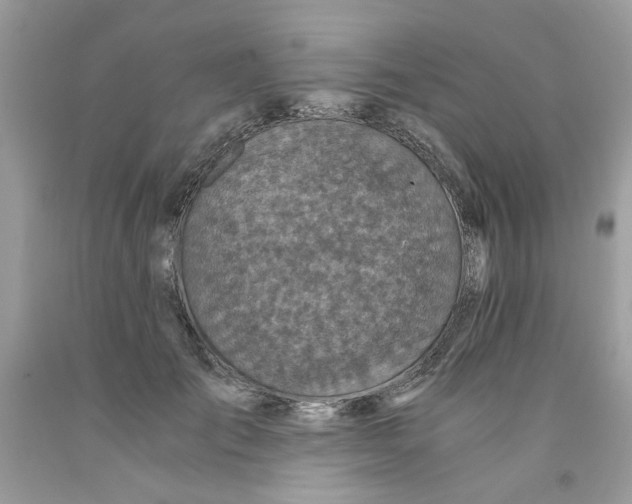 X0000091060701200709041159