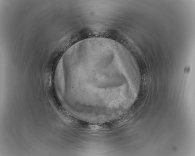 X0000091060703200709041159