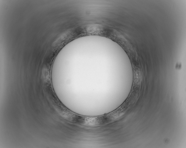 X0000091060705200709041159