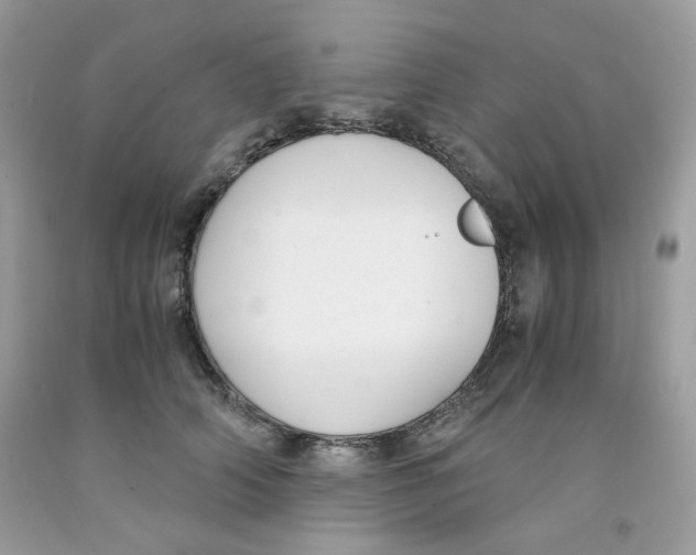 X0000091060706200709041159