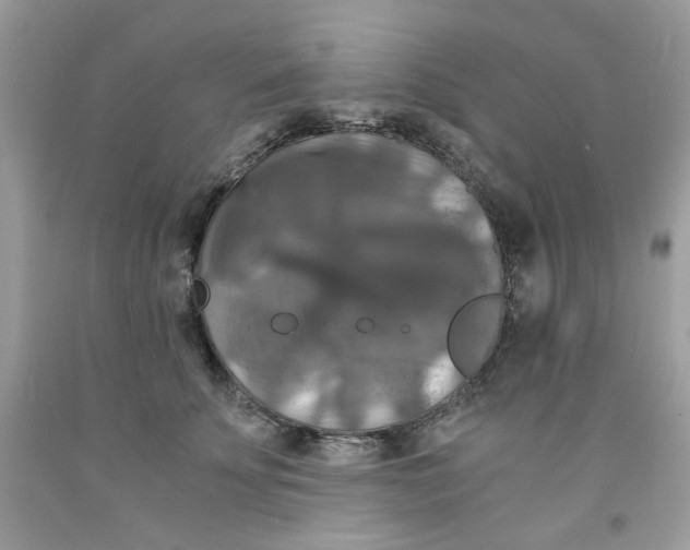 X0000091060707200709041159