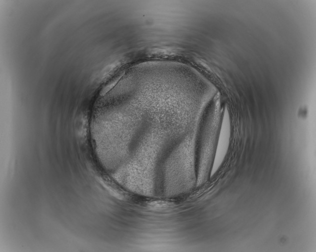 X0000091060708200709041159