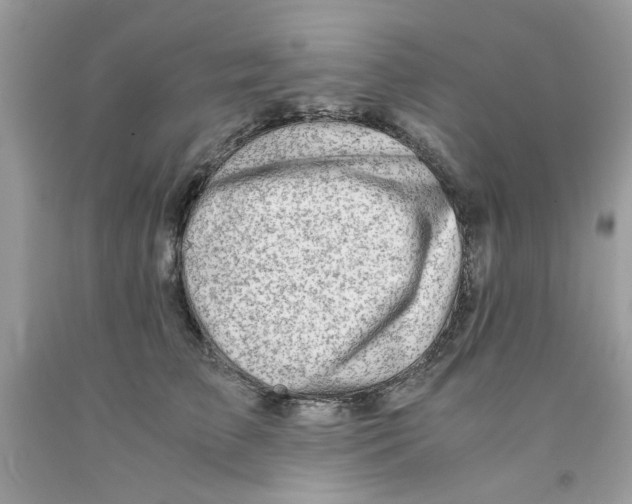 X0000091060709200709041159