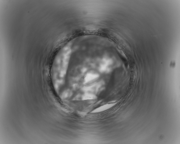 X0000091060711200709041159