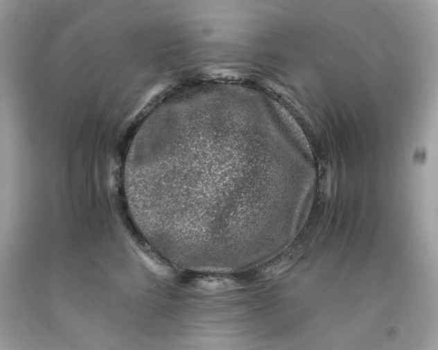 X0000091060712200709041159