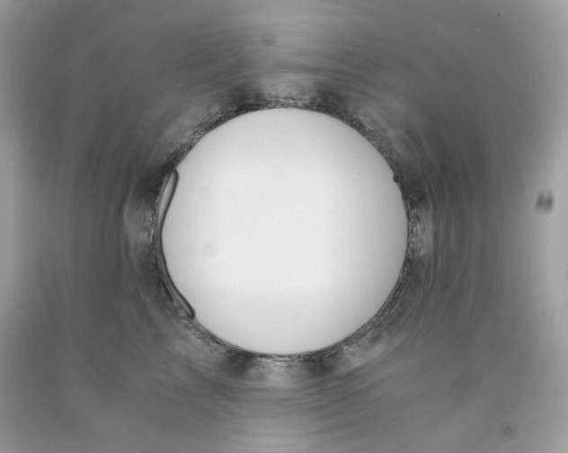 X0000091060713200709041159