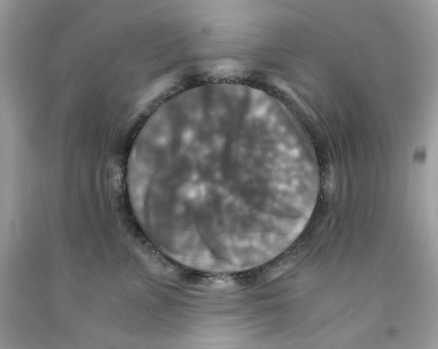 X0000091060715200709041159