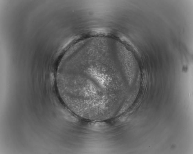 X0000091060716200709041159