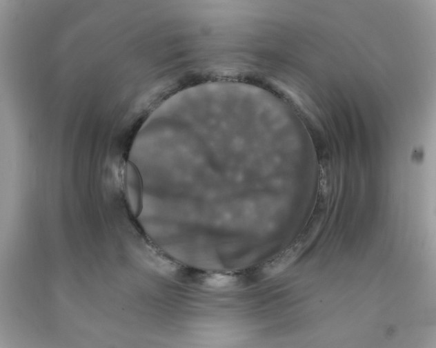 X0000091060718200709041159