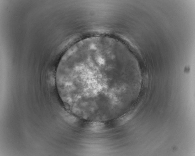 X0000091060719200709041159