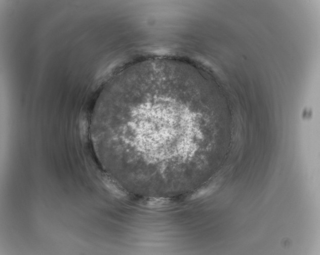 X0000091060720200709041159