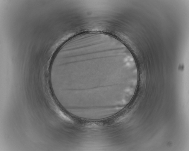 X0000091060721200709041158