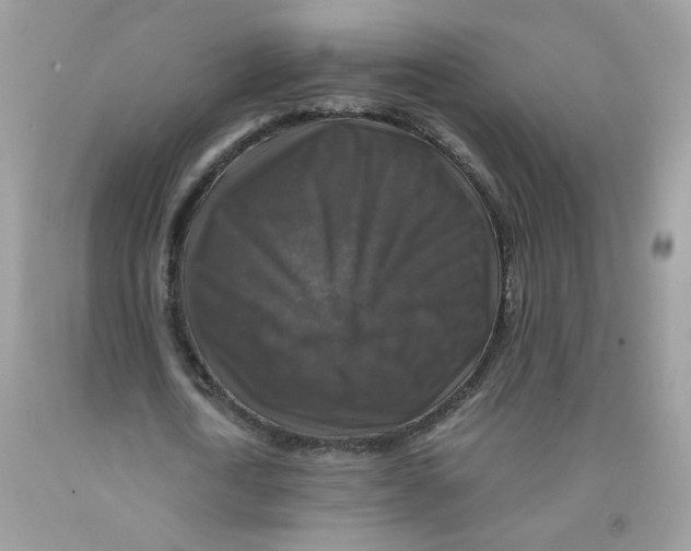 X0000091060722200709041158