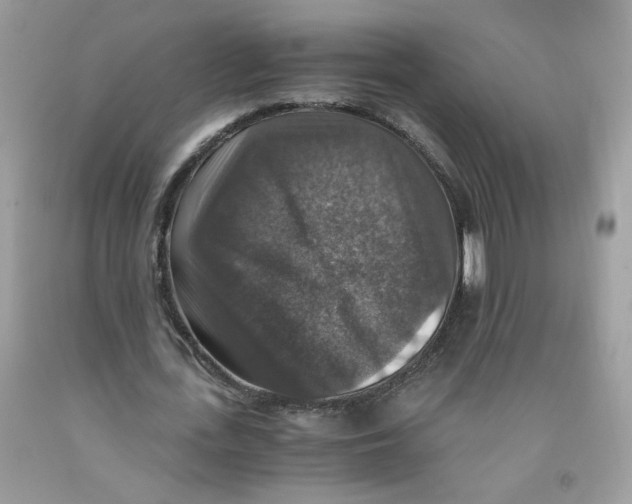 X0000091060723200709041158