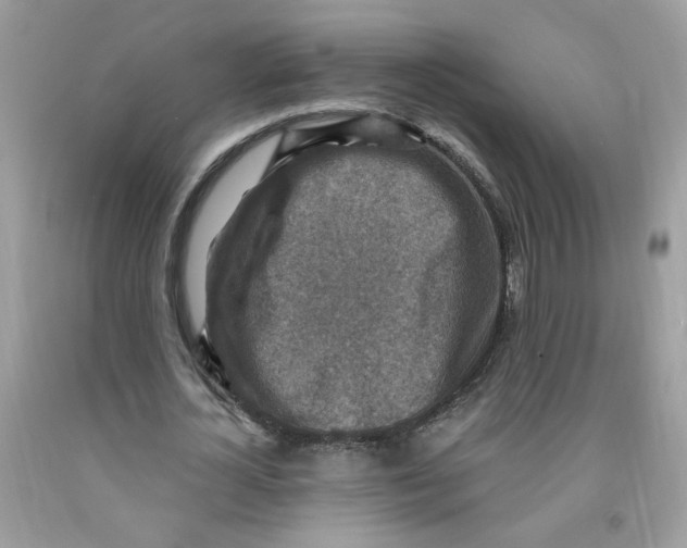 X0000091060724200709041158