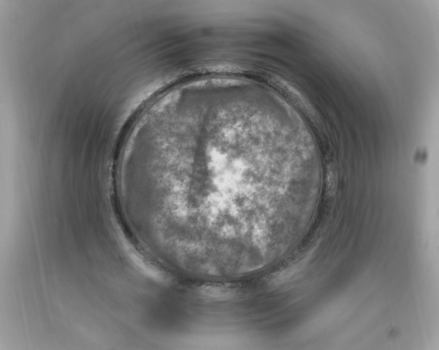 X0000091060725200709041158