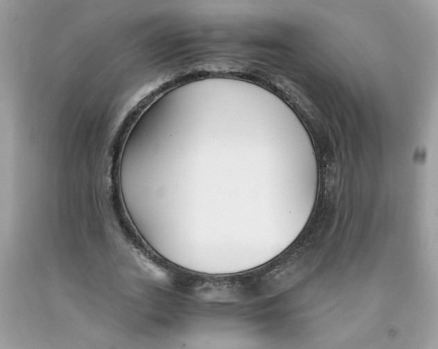 X0000091060727200709041158