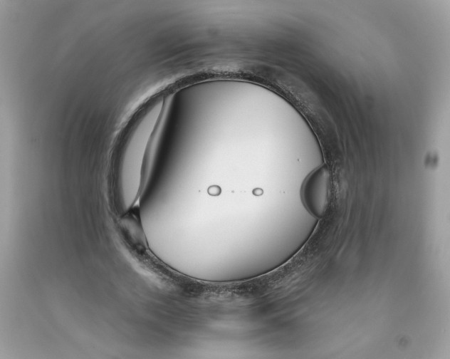 X0000091060728200709041158