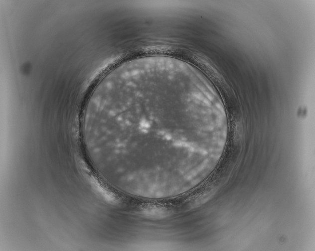 X0000091060729200709041158