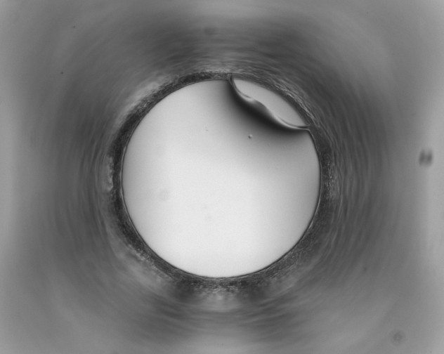 X0000091060731200709041158