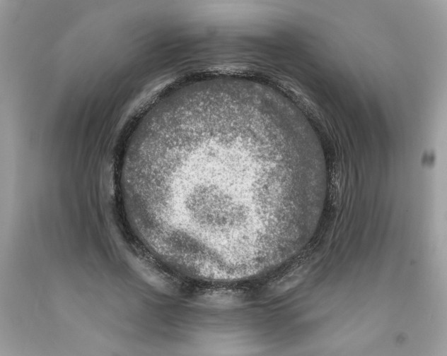 X0000091060734200709041158