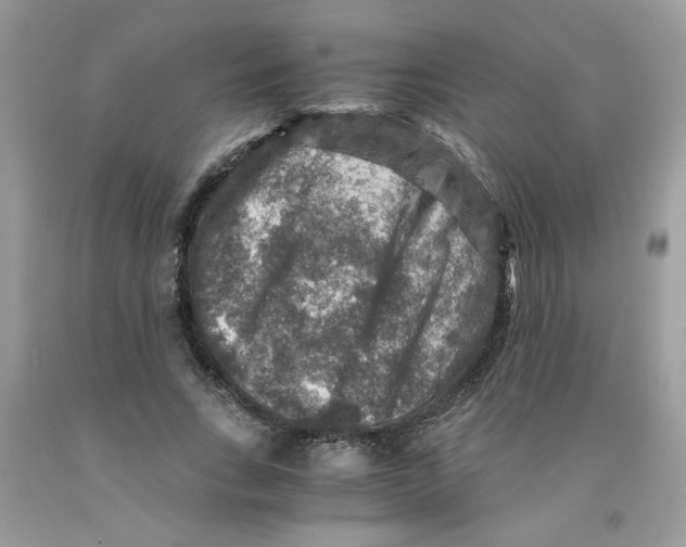 X0000091060735200709041158