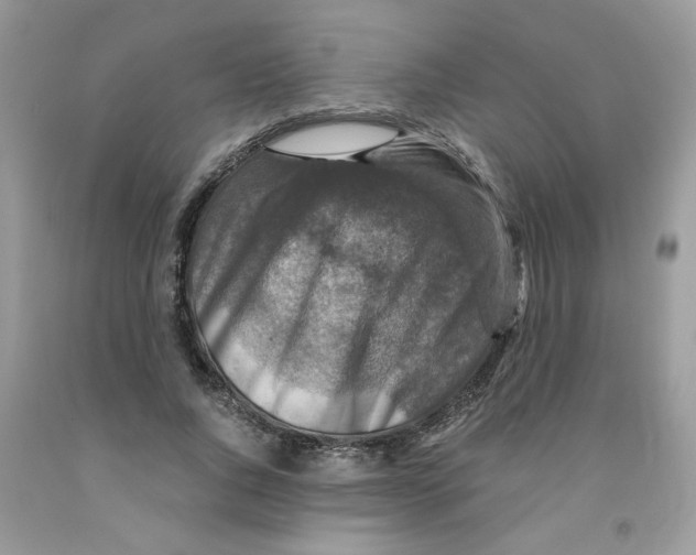 X0000091060736200709041158