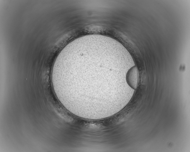 X0000091060737200709041158