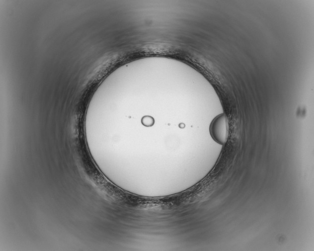 X0000091060738200709041158