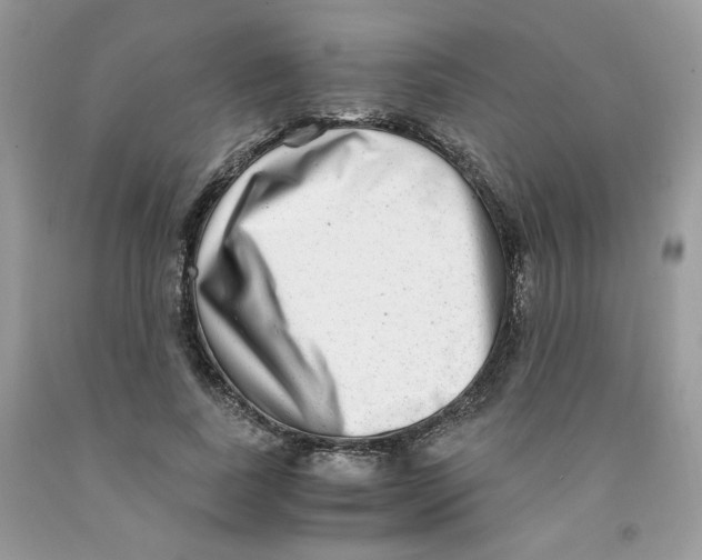 X0000091060739200709041158