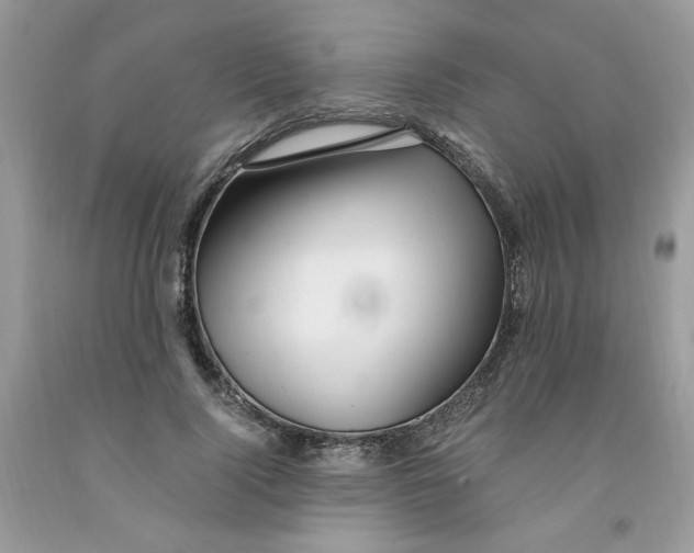 X0000091060740200709041158