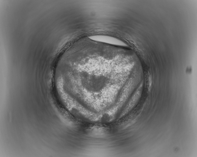 X0000091060742200709041158