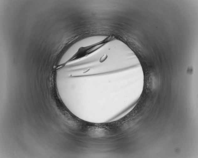 X0000091060743200709041158