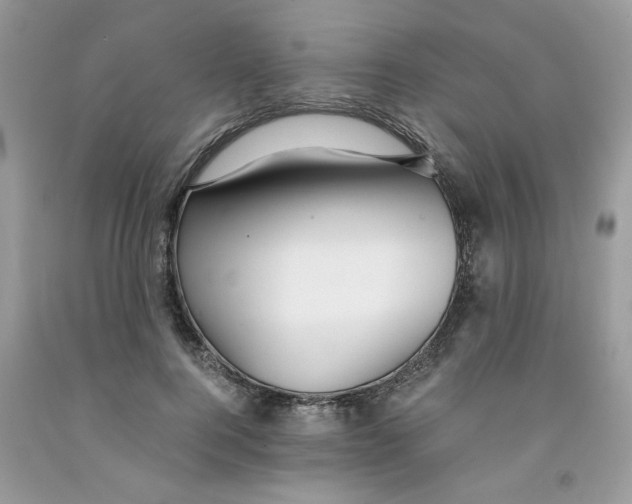 X0000091060744200709041158