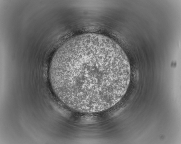 X0000091060745200709041158