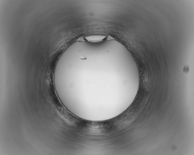 X0000091060746200709041158