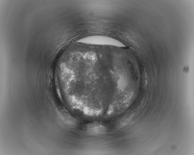 X0000091060747200709041158